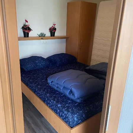 Chalet Bpw 1105 - Bospark T Wolfsven